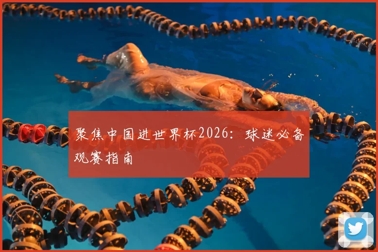 聚焦中国进世界杯2026:球迷必备观赛指南